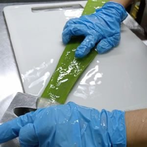 aloe vera corte