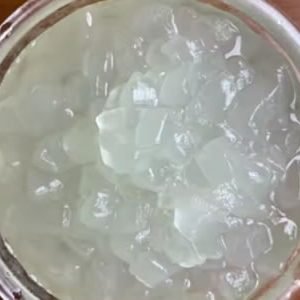 aloe vera raw material colombia